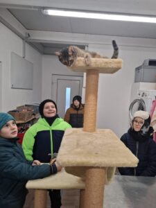 Kinder schauen belustigt auf eine Katze auf einem Kratzbaum.