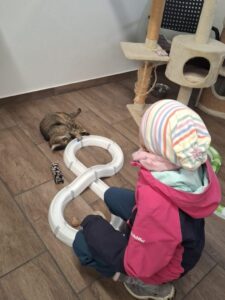 Kind schaut belustigt einer Katze beim Spielen zu.